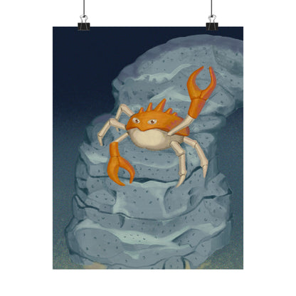 Crab on Rock Poster