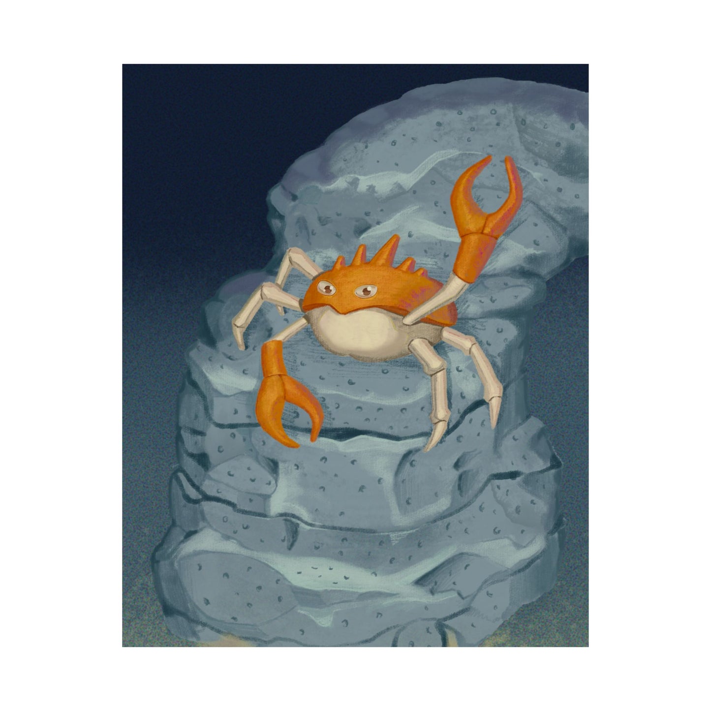 Crab on Rock Poster