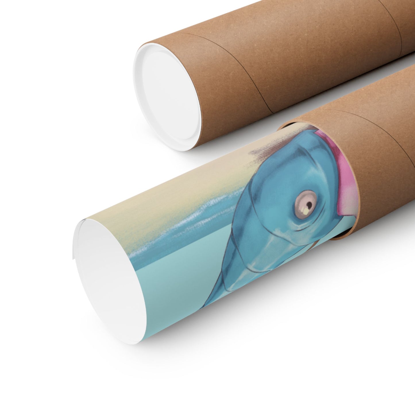 Cute Pink and Blue Poster